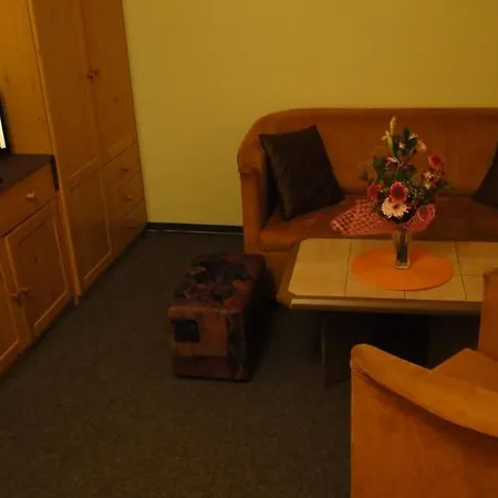 - Excalibur ホテル Boží Dar