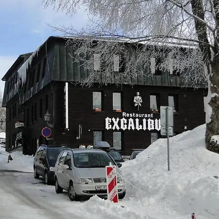 ホテル - Excalibur Boží Dar